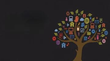 京東盛際小貸發(fā)布2024年財報，近年業(yè)績波動大